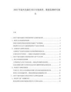 2025年旋風電腦燈項目市場調查、數據監測研究報告