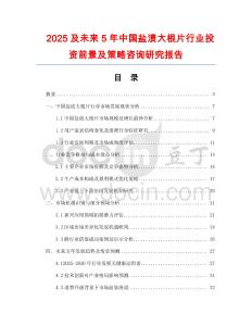2025及未來5年中國鹽漬大根片行業(yè)投資前景及策略咨詢研究報告