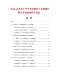 2025及未來5年中國綜絲夾行業(yè)投資前景及策略咨詢研究報告