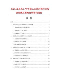 2025及未來5年中國工業熱風槍行業投資前景及策略咨詢研究報告