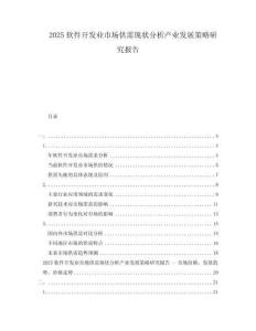 2025軟件開發(fā)業(yè)市場供需現(xiàn)狀分析產業(yè)發(fā)展策略研究報告