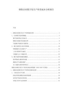 鋼鐵企業數字化生產轉型成本分析報告