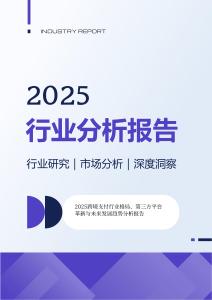 2025跨境支付行業格局第三方平臺革新與未來發展趨勢分析報告