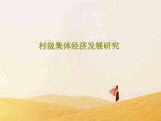 村級集體經濟發展研究共48頁PPT