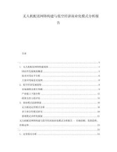 無人機配送網(wǎng)絡構建與低空經(jīng)濟商業(yè)化模式分析報告