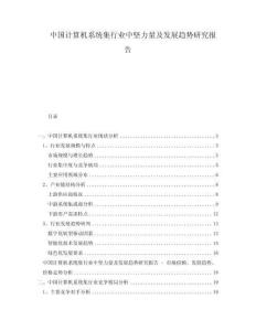 中國(guó)計(jì)算機(jī)系統(tǒng)集行業(yè)中堅(jiān)力量及發(fā)展趨勢(shì)研究報(bào)告