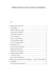 智能铁电存储行业市场竞争态势与发展趋势报告