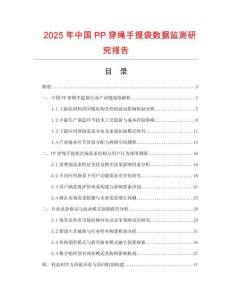 2025年中國PP穿繩手提袋數據監測研究報告