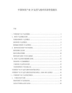 中國體育產(chǎn)業(yè)IP運(yùn)營與粉絲經(jīng)濟(jì)價(jià)值報(bào)告