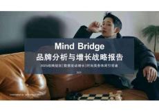 Mind Bridge品牌分析与增长战略报告
