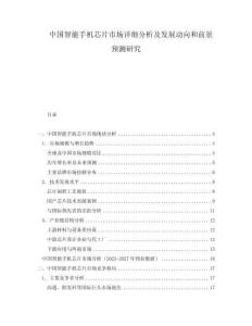 中國(guó)智能手機(jī)芯片市場(chǎng)詳細(xì)分析及發(fā)展動(dòng)向和前景預(yù)測(cè)研究