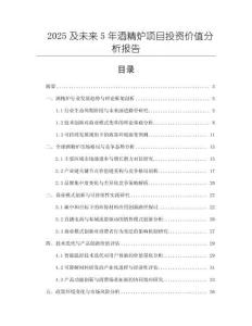 2025及未來5年酒精爐項目投資價值分析報告