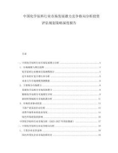 中國(guó)化學(xué)原料行業(yè)市場(chǎng)發(fā)展?jié)摿Ω?jìng)爭(zhēng)格局分析投資評(píng)估規(guī)劃策略深度報(bào)告