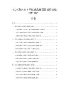 2025及未來5年鍍鋅扁絲項目投資價值分析報告