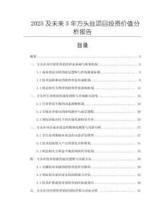 2025及未來5年方頭絲項目投資價值分析報告