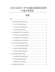2025及未來5年氣動增壓泵浦項目投資價值分析報告