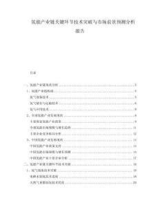 氫能產(chǎn)業(yè)鏈關(guān)鍵環(huán)節(jié)技術(shù)突破與市場(chǎng)前景預(yù)測(cè)分析報(bào)告