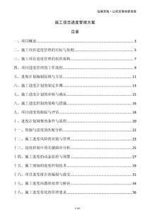 施工項目進度管理方案