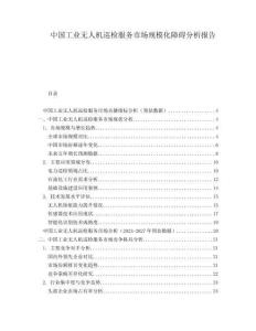 中國工業無人機巡檢服務市場規模化障礙分析報告