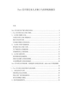 Fast芯片組行業(yè)人才缺口與培養(yǎng)機制報告