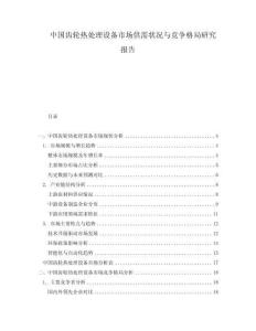 中国齿轮热处理设备市场供需状况与竞争格局研究报告