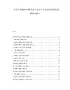 智慧体育行业市场发展动态分析及投资评估规划分析研究报告