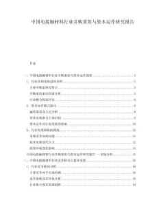 中國電接觸材料行業并購重組與資本運作研究報告