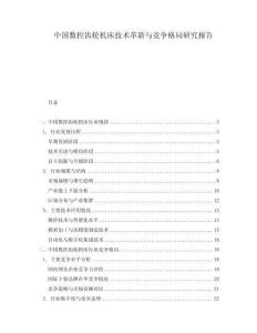 中国数控齿轮机床技术革新与竞争格局研究报告