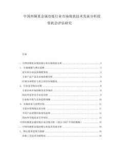 中國(guó)西銅重金屬冶煉行業(yè)市場(chǎng)現(xiàn)狀技術(shù)發(fā)展分析投資機(jī)會(huì)評(píng)估研究