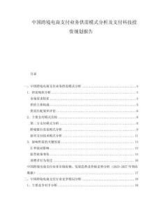 中国跨境电商支付业务供需模式分析及支付科技投资规划报告