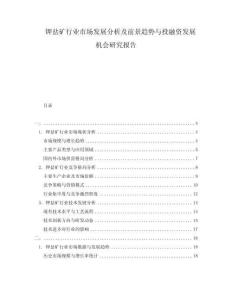钾盐矿行业市场发展分析及前景趋势与投融资发展机会研究报告