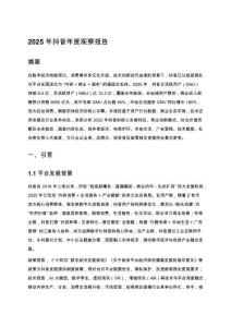 2025年抖音年度观察报告