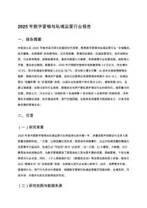 2025年數(shù)字營(yíng)銷(xiāo)與私域運(yùn)營(yíng)行業(yè)報(bào)告