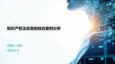 知识产权法实务的综合案例分析