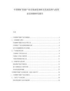 中国锂矿资源产业市场深度调研及发展趋势与投资前景预测研究报告