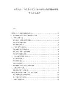 消費級D打印設備下沉市場滲透阻力與經銷商網絡優化建議報告