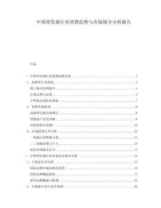 中国理发器行业消费趋势与市场细分分析报告