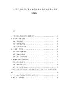 中国信息技术行业竞争格局演变分析及商业布局研究报告