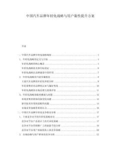中國汽車品牌年輕化戰略與用戶黏性提升方案