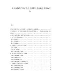 中國存儲芯片國產化替代進程與供應鏈安全評估報告
