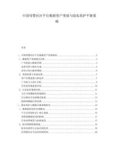 中国母婴社区平台数据资产变现与隐私保护平衡策略