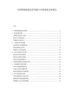中國智能假肢技術(shù)突破與市場需求分析報告