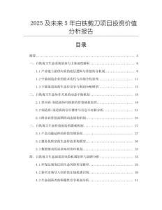 2025及未来5年白铁剪刀项目投资价值分析报告