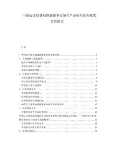 中国云计算基础设施服务市场竞争态势与盈利模式分析报告