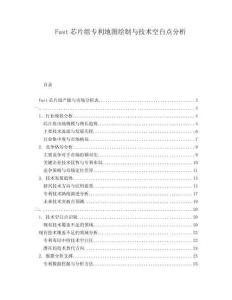 Fast芯片組專利地圖繪制與技術(shù)空白點(diǎn)分析