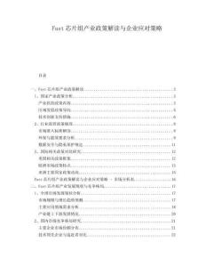 Fast芯片組產(chǎn)業(yè)政策解讀與企業(yè)應(yīng)對策略