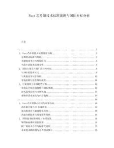 Fast芯片組技術(shù)標準演進與國際對標分析