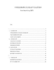 中國民宿集群區(qū)共享洗衣平臺運營效率benchmarking報告