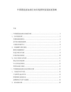中國漂洗添加劑行業(yè)在線銷售渠道拓展策略