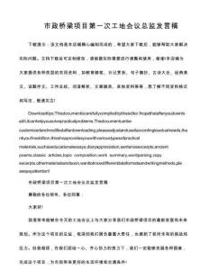 市政橋梁項目第一次工地會議總監(jiān)發(fā)言稿